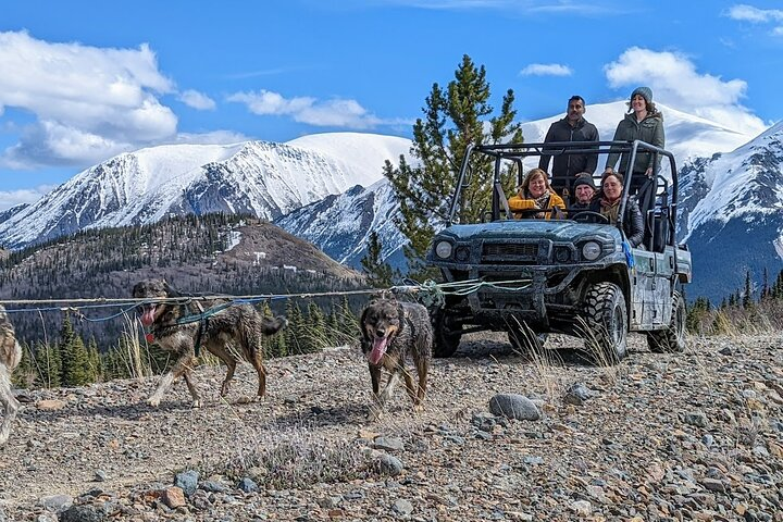 Includes a 20 minute circuit at a remote Yukon sled dog mush camp in a UTV - side by side with a trained handler